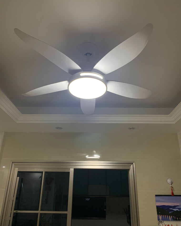 Diff 48" Reversible Quiet Ceiling Fan with Dimmable Light-DF5000