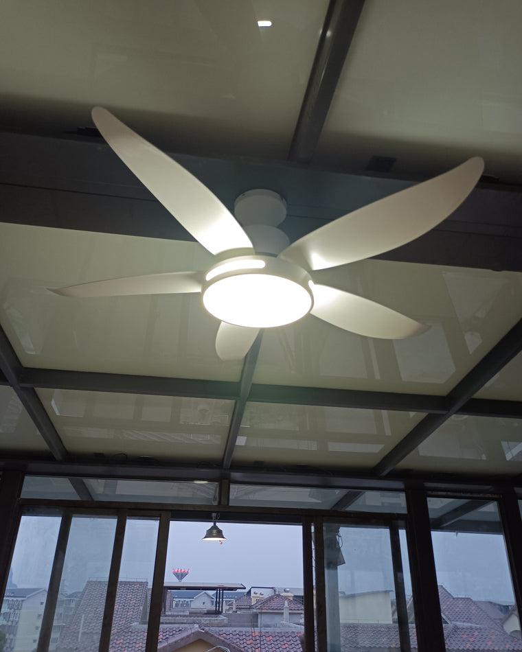 Diff 48" Reversible Quiet Ceiling Fan with Dimmable Light-DF5000