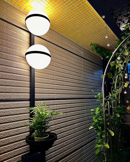 Diff Globe Plant Wall Sconce-DF6035