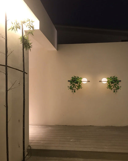 Diff Globe Plant Wall Sconce-DF6035