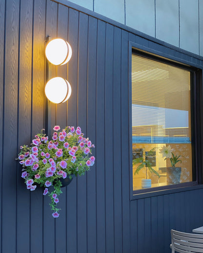 Diff Globe Plant Wall Sconce-DF6035