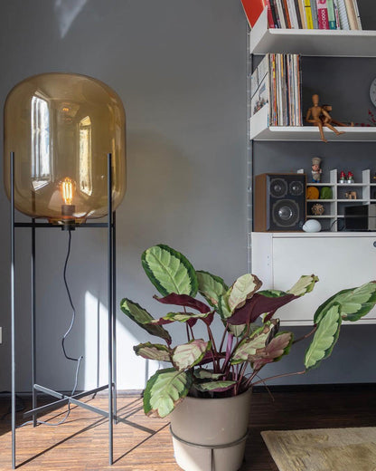 Diff Smoked Glass Lantern Floor Lamp-DF7015