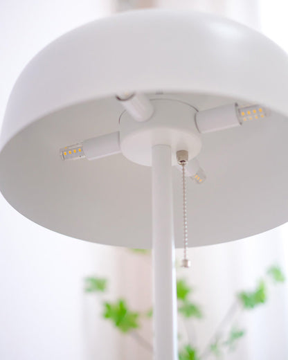 Diff Acorn Floor Lamp with Pull Chain-DF7034