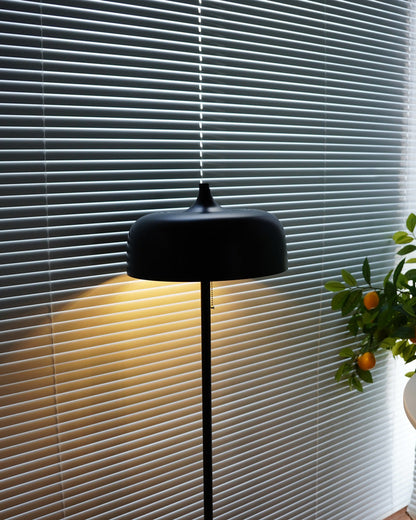 Diff Acorn Floor Lamp with Pull Chain-DF7034
