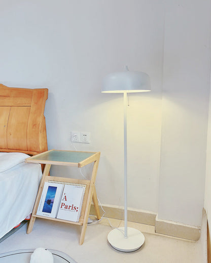 Diff Acorn Floor Lamp with Pull Chain-DF7034