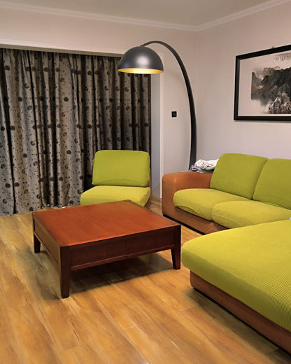 Diff Dome Arc Floor Lamp over Couch-DF7063