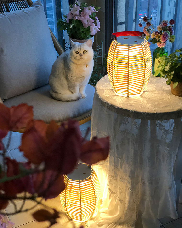 Diff Solar Lantern Outdoor Light-DF9009