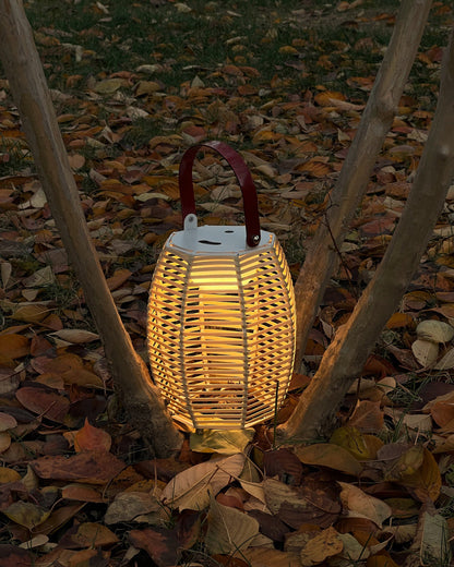 Diff Solar Lantern Outdoor Light-DF9009