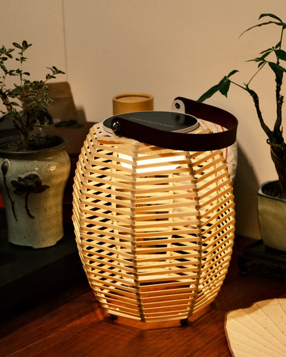 Diff Solar Lantern Outdoor Light-DF9009