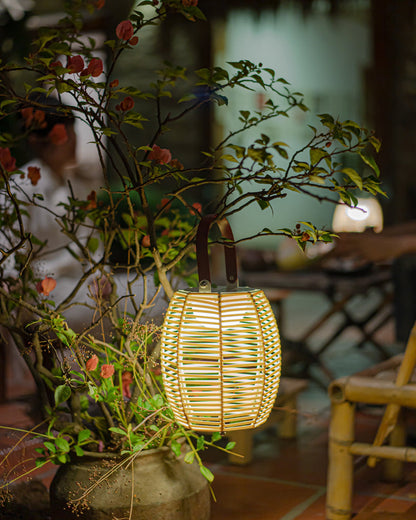 Diff Solar Lantern Outdoor Light-DF9009