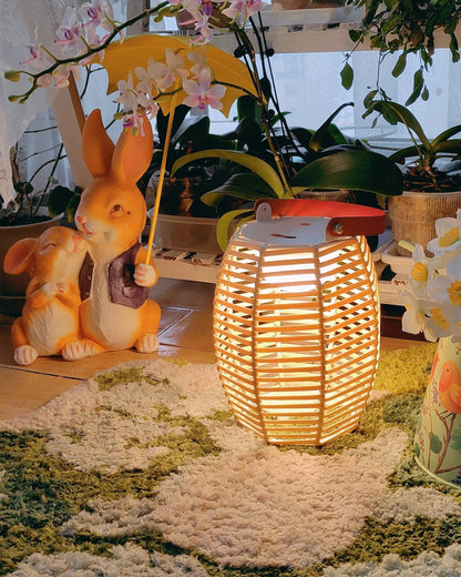 Diff Solar Lantern Outdoor Light-DF9009