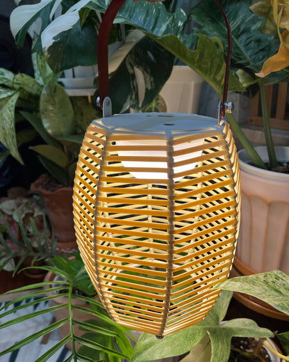 Diff Solar Lantern Outdoor Light-DF9009