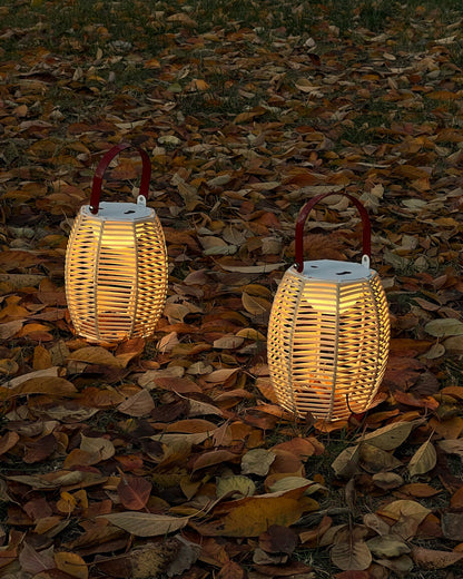 Diff Solar Lantern Outdoor Light-DF9009