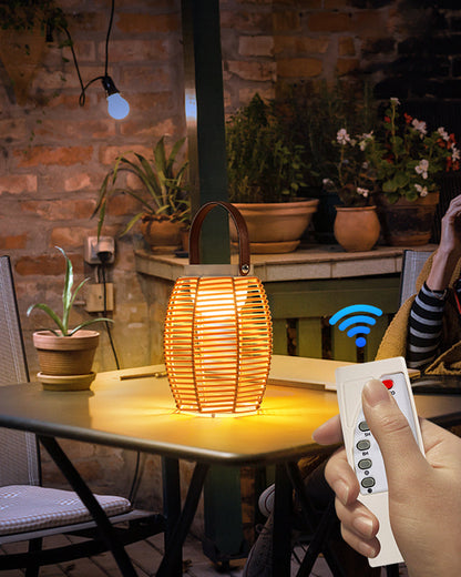 Diff Solar Lantern Outdoor Light-DF9009