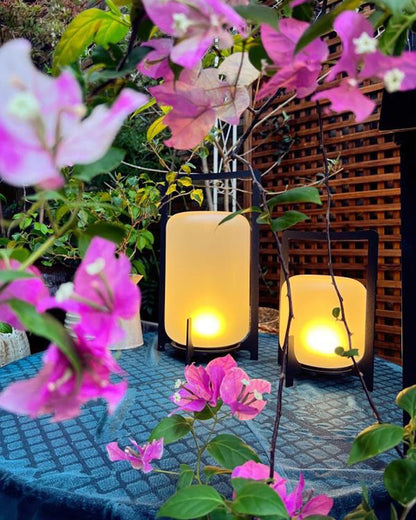 Diff Solar Lantern Outdoor Light-DF9021