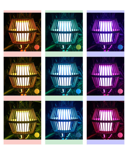 Diff Colorful Pathway Light Outdoor Light-DF9027