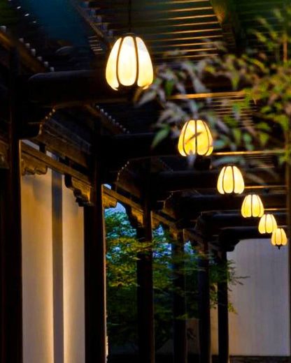 Diff Pendant Outdoor Light-DF9032