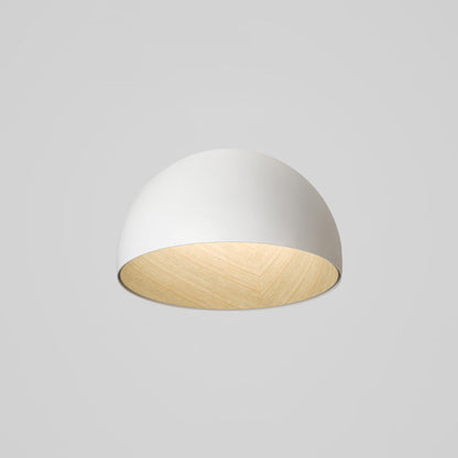 Diff Dome Asymmetrical Flush Mount Ceiling Light-DF1020