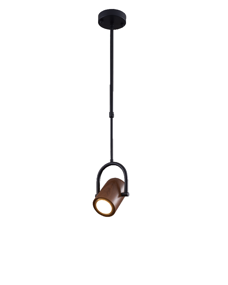 Diff Adjustable Spotlight Pendant Light-DF2162