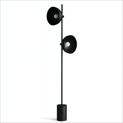 Diff Adjustable 2-bulb Studio Floor Lamp-DF7022